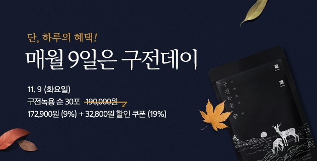 11월 구전데이